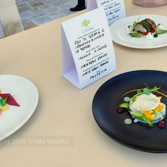 La cicoria puntarelle molfettese, eccellenza del territorio, pronta per il marchio IGP