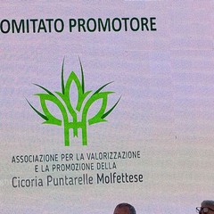 La cicoria puntarelle molfettese, eccellenza del territorio, pronta per il marchio IGP