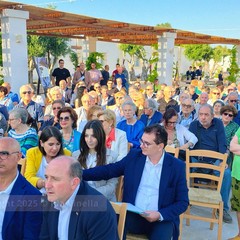 La cicoria puntarelle molfettese, eccellenza del territorio, pronta per il marchio IGP