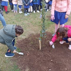 Festa dell'Albero 2024