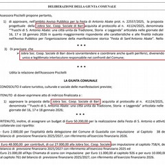 Festa di Sant'Antonio Abate, i dubbi del Partito Democratico Giovinazzo