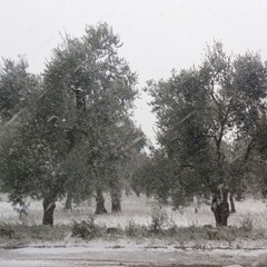 Sulla strada per il Padre Eterno