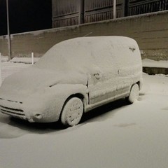 Un'auto sotto la neve vicina all'area per cani