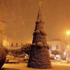 L'albero della piazza coperto di neve