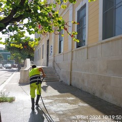 Pulizia e lavaggio strade e scuole