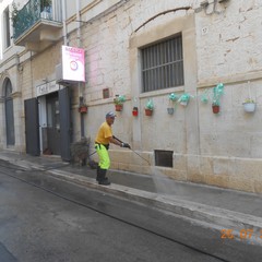 Lavaggio strade Giovinazzo