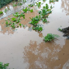 Allagamenti campagne