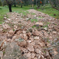 Allagamenti campagne