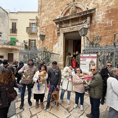 Benedizione animali 2026