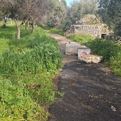 Pulizia agro Giovinazzo