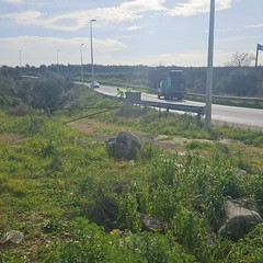 Pulizia agro Giovinazzo