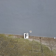 Disordini al termine della WSE Trophy. Nel caos esplosi colpi di pistola