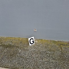 Disordini al termine della WSE Trophy. Nel caos esplosi colpi di pistola