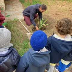 Festa dell'Albero 2024