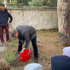 Festa dell'Albero 2024