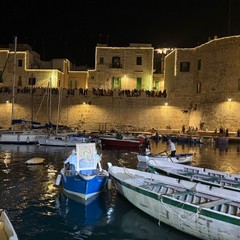 Il quadro della Madonna di Corsignano in Cala Porto