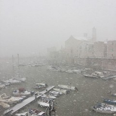 La Cattedrale sullo sfondo ed il porticciolo