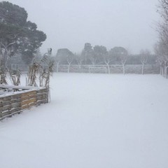 Il campo San Domenico innevato