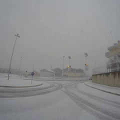 La rotatoria di via Bitonto