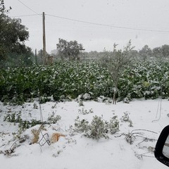 Tanta neve verso Bitonto