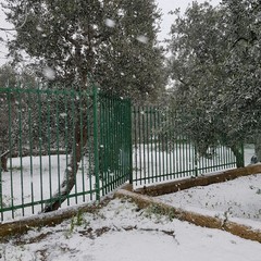 Isolate alcune zone di campagna