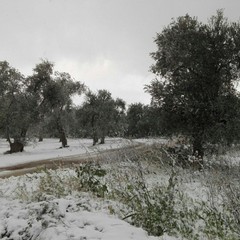 Verso il Dolmen