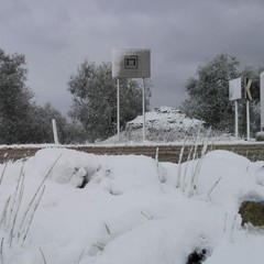 Così sulla provinciale per Terlizzi