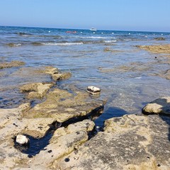 Liquidi oleosi sul litorale di Giovinazzo, rimossa macchia di idrocarburi