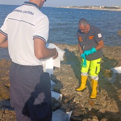 Liquidi oleosi sul litorale di Giovinazzo, rimossa macchia di idrocarburi