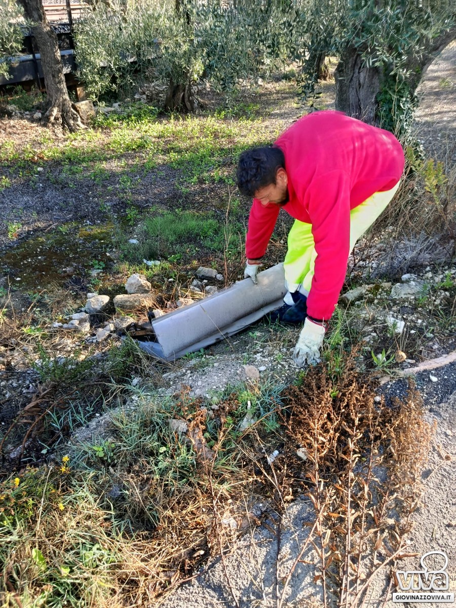 Pulizia agro Giovinazzo