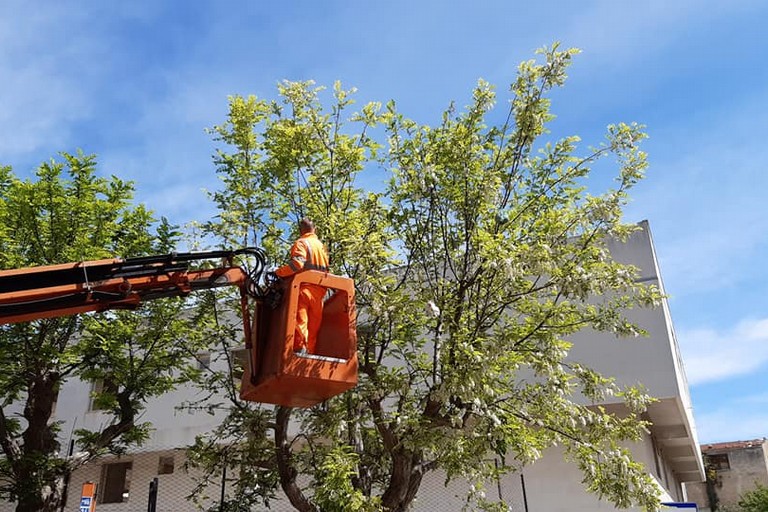 L'intervento degli operatori ecologici