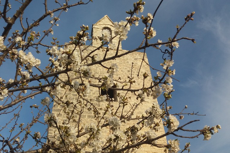 Ciliegio in fiore al Padre Eterno. <span>Foto Gianluca Battista</span>