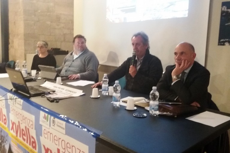 Un momento della conferenza. <span>Foto Gianluca Battista</span>