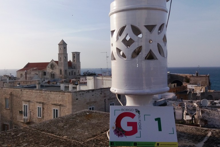 Partito il Concorso Borgo in Fiore 2019. <span>Foto Gianluca Battista</span>