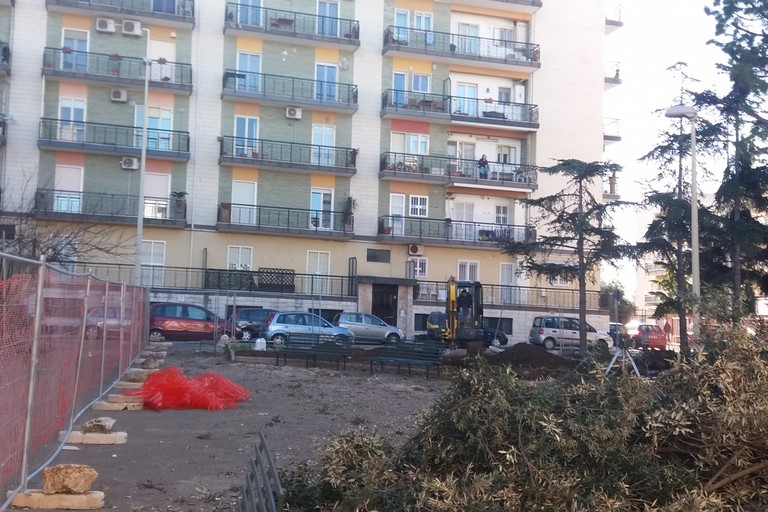 Alberi abbattuti in piazza Stallone. <span>Foto Gianluca Battista</span>