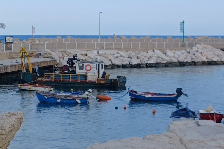 Lavori nel porto di Giovinazzo. <span>Foto Gianluca Battista</span>