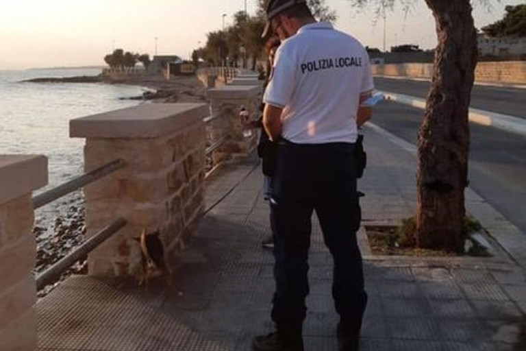 I controlli della Polizia Locale