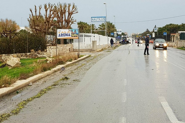 Camion perde carico di olive sulla litoranea per Molfetta