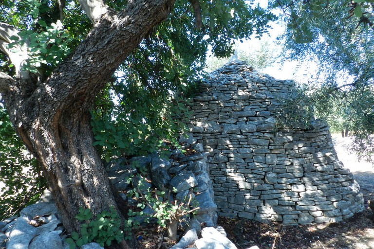 Le campagne di Giovinazzo