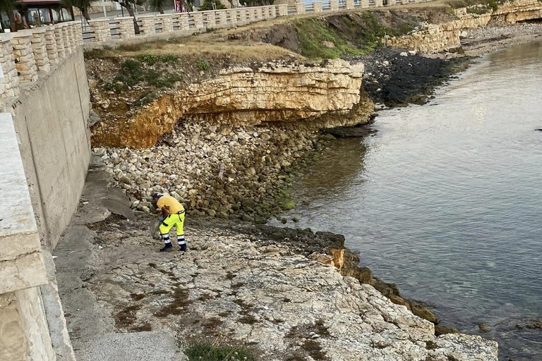 Operatori Impregico sulle spiagge