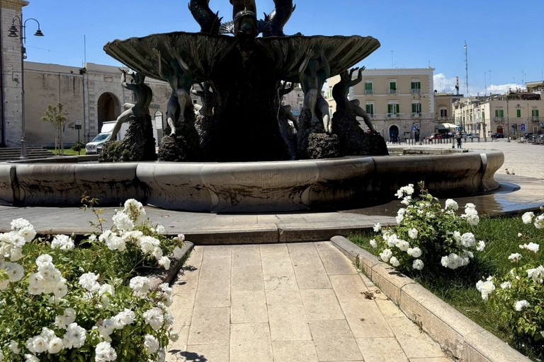 Rose nei pressi della Fontana dei Tritoni