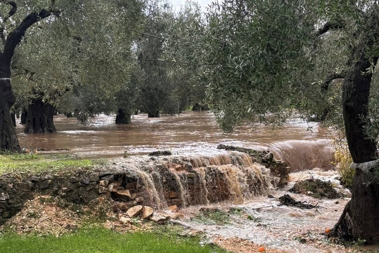 Acqua nelle campagne di Giovinazzo
