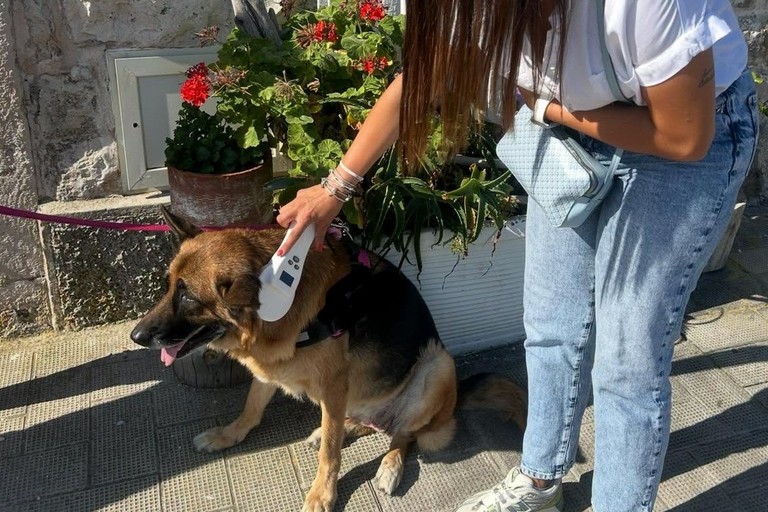 Controllo deiezioni e microchip. <span>Foto Comune di Giovinazzo </span>