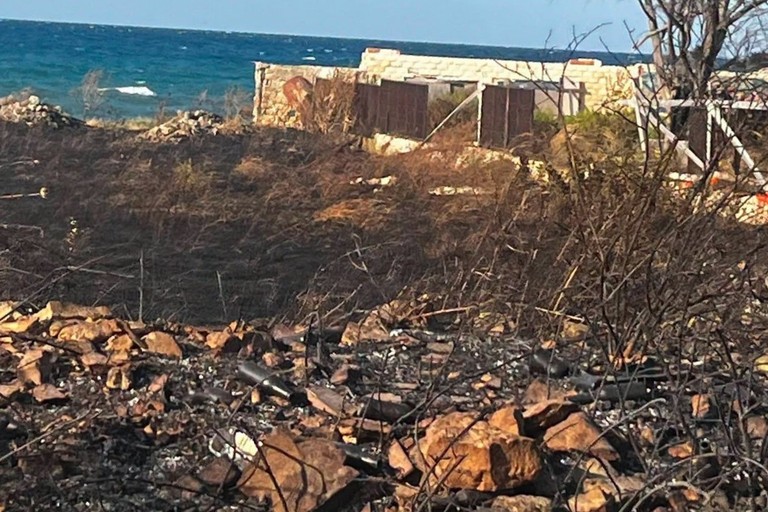 Fondo bruciato tra Giovinazzo e Santo Spirito