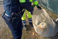 Raccolta differenziata, sanzioni alle attività produttive di Giovinazzo