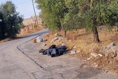 Una nuova discarica sulla provinciale tra Giovinazzo e Terlizzi