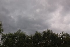 Allerta meteo gialla su Giovinazzo per pioggia