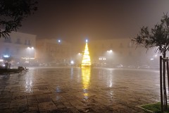Arriva la nebbia: atmosfera insolita a Giovinazzo (FOTO)