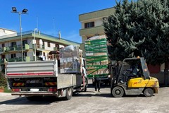 Il cuore grande di Giovinazzo: aiuti per ucraini in partenza da Bari