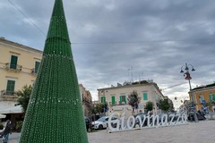 Arrivato l'Albero di Natale in piazza Vittorio Emanuele II